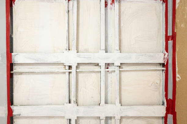 Best Forensic Mold Investigation  in Dexter, GA