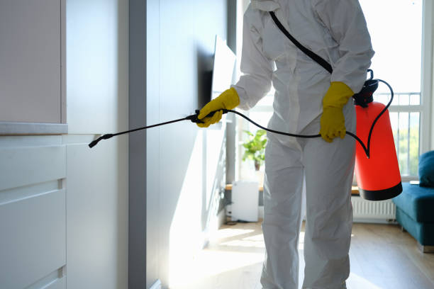 Best Post-Construction Mold Inspection  in Dexter, GA