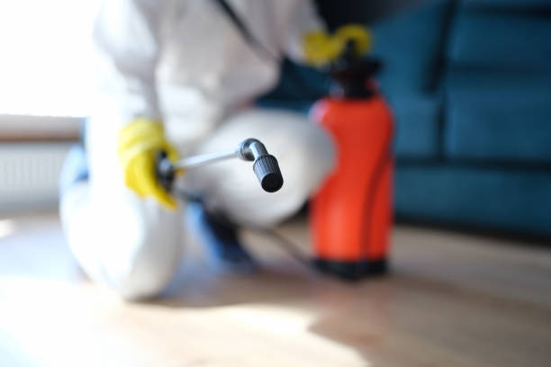 Best Mold Odor Removal Services  in Dexter, GA