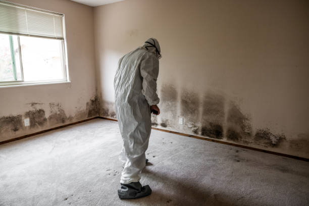 Best Airborne Mold Testing  in Dexter, GA