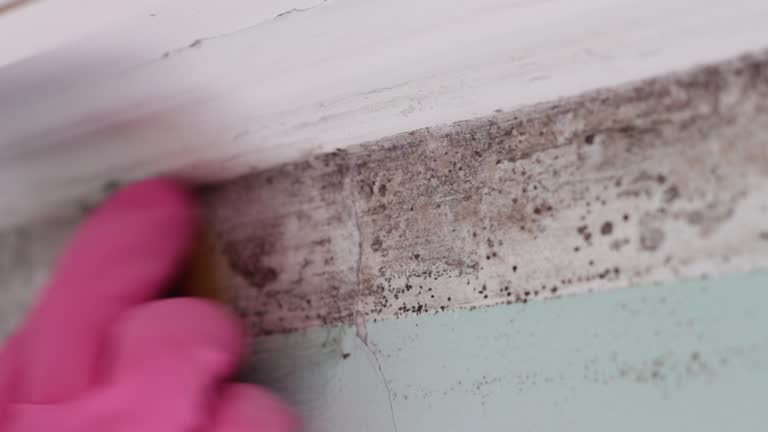 Mold Remediation for Vacation Homes in Dexter, GA